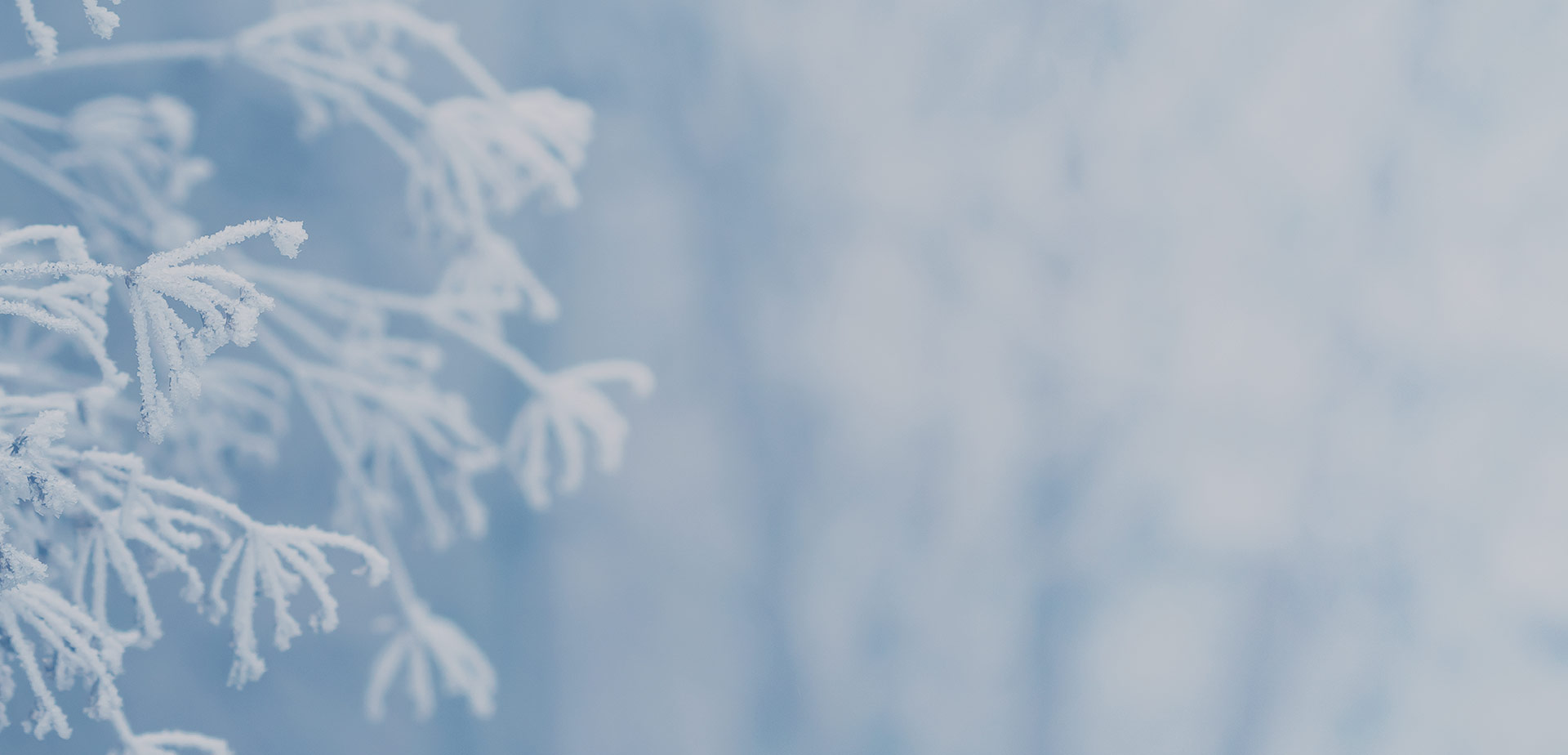 Oferta Wigilijna w WEST GATE w Warszawie